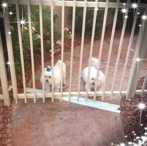 Meet your Posher, Kay